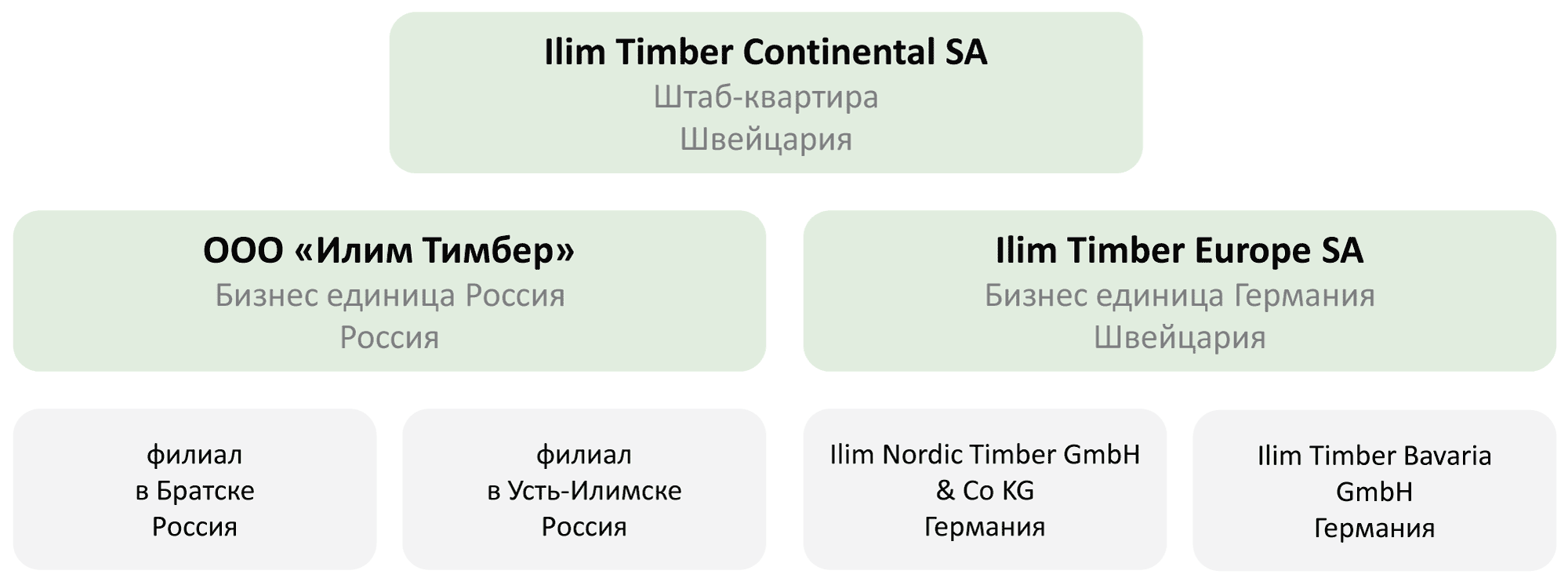 Органзиационная структура Ilim Timber
